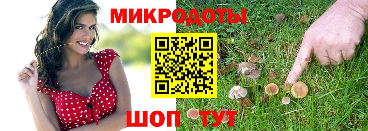 Меф Майский