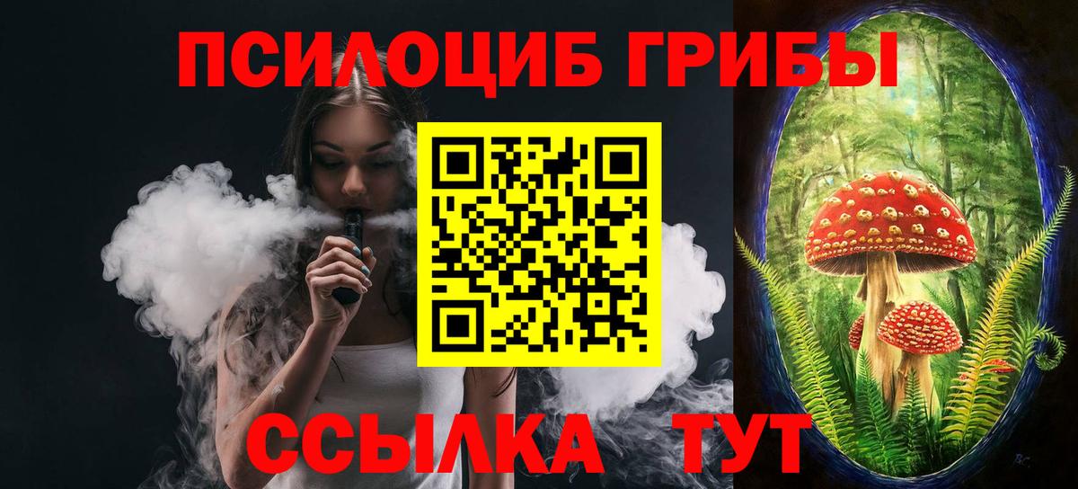 Псилоцибиновые грибы Psilocybine cubensis Майский