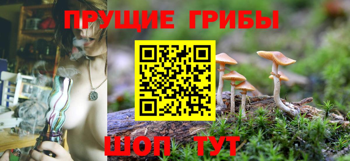 Псилоцибиновые грибы GOLDEN TEACHER  Галлюциногенные грибы Psilocybe  Майский 