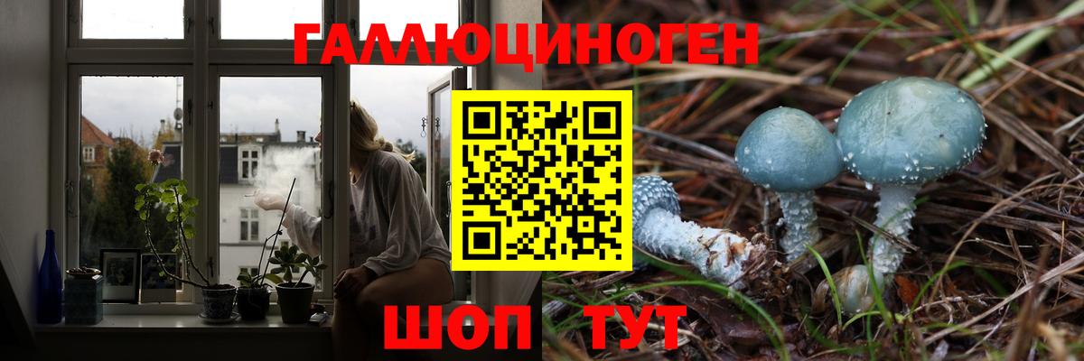 Псилоцибиновые грибы ЛСД  Вход с VPN  Майский 