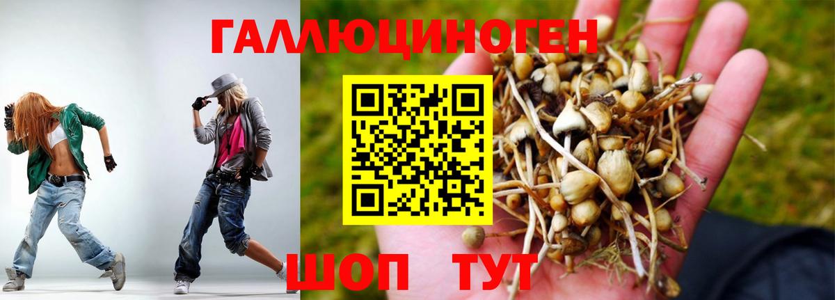 Cocaine  A-PVP  Майский  Molly  LSD-25  Гашик  Мефедрон  МАРИХУАНА  Вход с VPN 